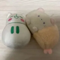 2026年最新】しらぬい iriamの人気アイテム - メルカリ
