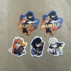 ハイキュー　ダイカットステッカー　烏野1年