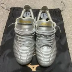 モレリアネオ４ギャラクシーシルバー