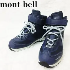 Item thumbnail for item 143ae3c4-8c2c-417a-ab44-76d78c55b8f2