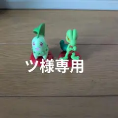 ツ様専用 ポケモンチョコエッグ ポケットモンスター 旅立ちの3匹