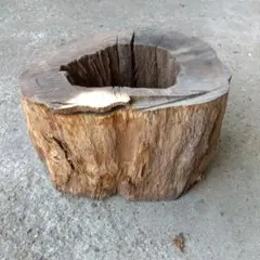 2026年最新】樹洞の人気アイテム - メルカリ