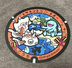 y*i様 ポケモンローカルActs ポケふた うちわ カード ロコン