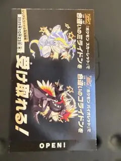 ポケモン 色違いミライドン、コライドン