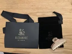 アレクサンドルドゥパリ ショップバック紙袋 保存ポーチセット