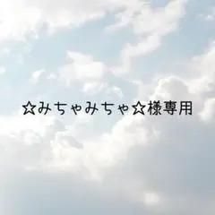 ☆みちゃみちゃ☆様専用