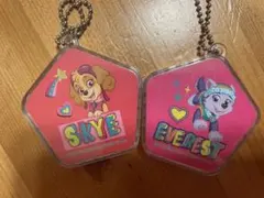 パウパトロール　スカイとエベレスト