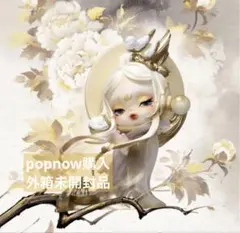 【外箱未開封】POPMART SKULLPANDA (Special ver.)