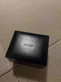 ALDO 腕時計用 交換ベルト 2本セット