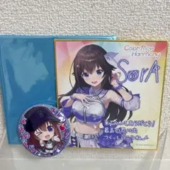 ホロライブ ときのそら メッセージ色紙 缶バッジ セット まとめ売り