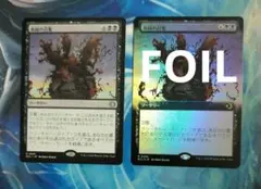 MTG 血統の召集/Bloodline Bidding ECL 日本語版2枚