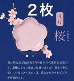 新品未使用 サントリー金麦花やか皿 4月 桜 さくら 2枚セット