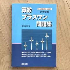 算数　プラスワン問題集 中学受験