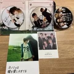 Item thumbnail for item c10b29e7-71f2-47ff-a52b-978f9dcd019a