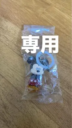 専用