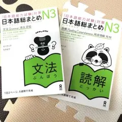 日本語総まとめN3文法増補改訂版