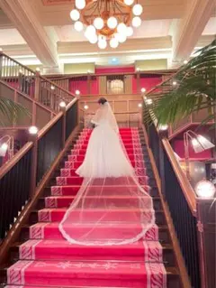 【美品】【定価4万700円】トリートドレッシング　ウェディングベール