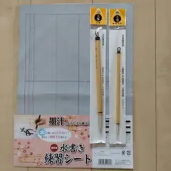 2026年最新】ペン字精習の人気アイテム - メルカリ