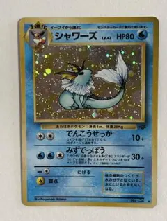 コ*ズ様 ポケモンカード 旧裏 サカキのギャラドス PSA PSA10】サカキのギャラドス(R){水}〈-〉[OPG2] – 晴れる屋2