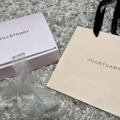 ジルスチュアート　袋