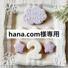 《hana.com様専用アイシングクッキー》誕生日Happy Birthday
