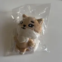 2025年最新】DAY6 ぬいぐるみの人気アイテム - メルカリ