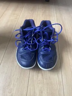 【桃田賢斗モデル】ヨネックス パワークッション65Z2 27cm