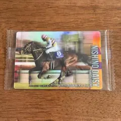 ニシノデイジー 中山大障害 競馬 カード コレクション