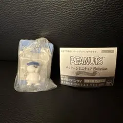 PEANUTS パッケージミニチュアコレクション