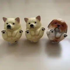 2025年最新】まんまるいぬの人気アイテム - メルカリ