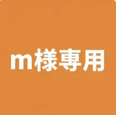 【m様専用です】