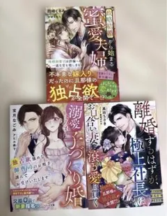 【専用】ベリーズ文庫　3冊セット