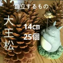 ご注文商品専用出品 14㎝自立タイプ