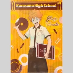 【ハイキュー】日向翔陽╱クリアファイル