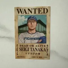 2025年最新】田中正義 カードの人気アイテム - メルカリ