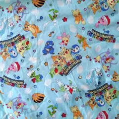 ポケモン　ハギレ　水色　綿コットン　生地　　小物作り　ピカチュウ　シェイミ