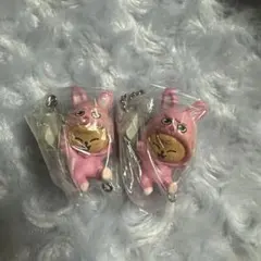 skzooパピム2個セット