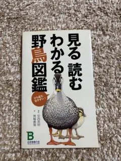 Item thumbnail for item 6356bb3e-76d2-4c8b-9be4-4f9e021724e1