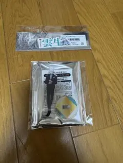 Item thumbnail for item 5b362867-02fb-4a3c-875b-935e39d0b127