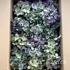 hana様 リクエスト 3点 まとめ商品