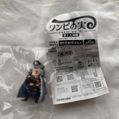 ワンピの実　第十五海戦　シリュウ