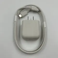 iQOS純正品　アダプター&ケーブル　充電器　タイプC