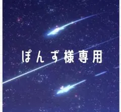 ぽんず様専用
