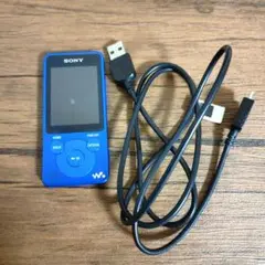 SONY ソニー walkman ウォークマン NW-E042 2GB ジャンク - メルカリ