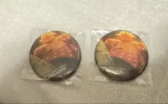 鬼滅の刃 無限城編 ものがたる背中コレクション 缶バッジ 我妻善逸