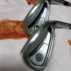 Item thumbnail for item 474d3d52-dd8f-4f21-85b5-5cb183c67e84