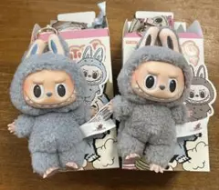 マカロン2個セット