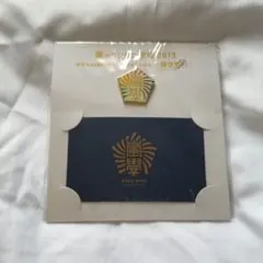 嵐のワクワク学校2019 学生証 ピンバッジ