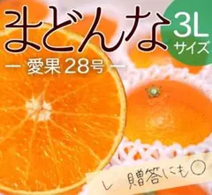 7贈答用に◎愛果28号（紅マドンナ同種）マドンナ愛媛みかん