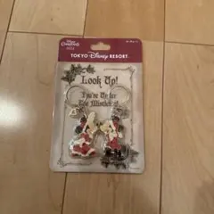 東京ディズニーリゾート クリスマスキーホルダー